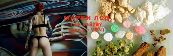 PSILOCYBIN Богородицк