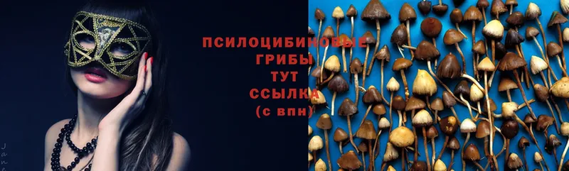 блэк спрут ТОР  Богородск  это формула  Галлюциногенные грибы Cubensis 